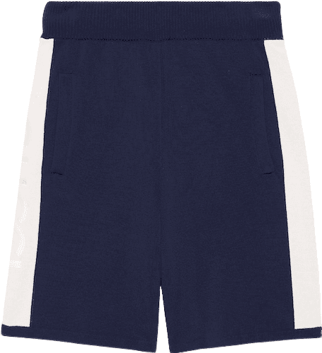 Short de Sport Bleu Marine et Blanc à Bandes Contrastantes