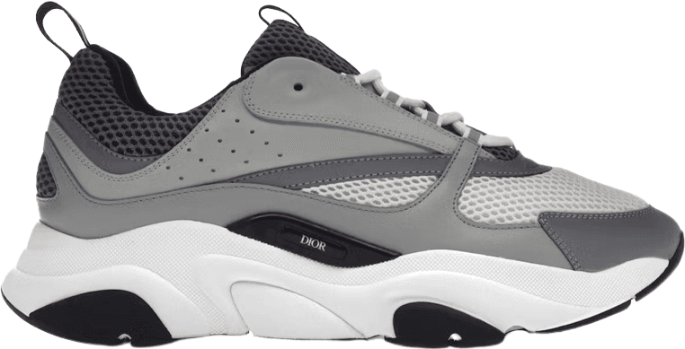 Dior B30 Sneaker Grise et Blanche