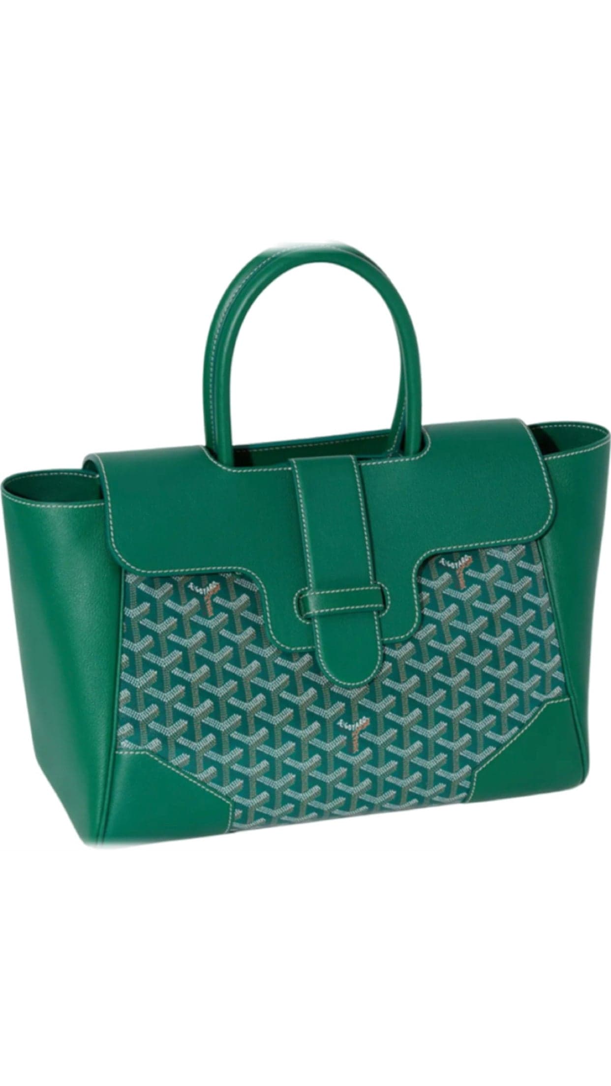 Sac Goyard St. Louis PM Toile Coated Canvas Vert