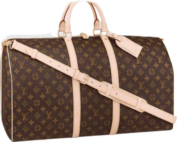 Sac Keepall 55 Toile Monogram