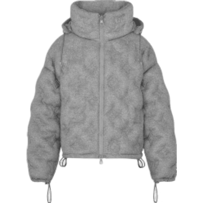 Doudoune Louis Vuitton Grise 3.d Print Monogram Grey